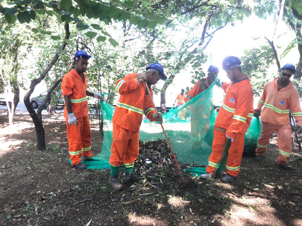 Imagem de funcionários executando a limpeza de áreas verdes e corte de mato